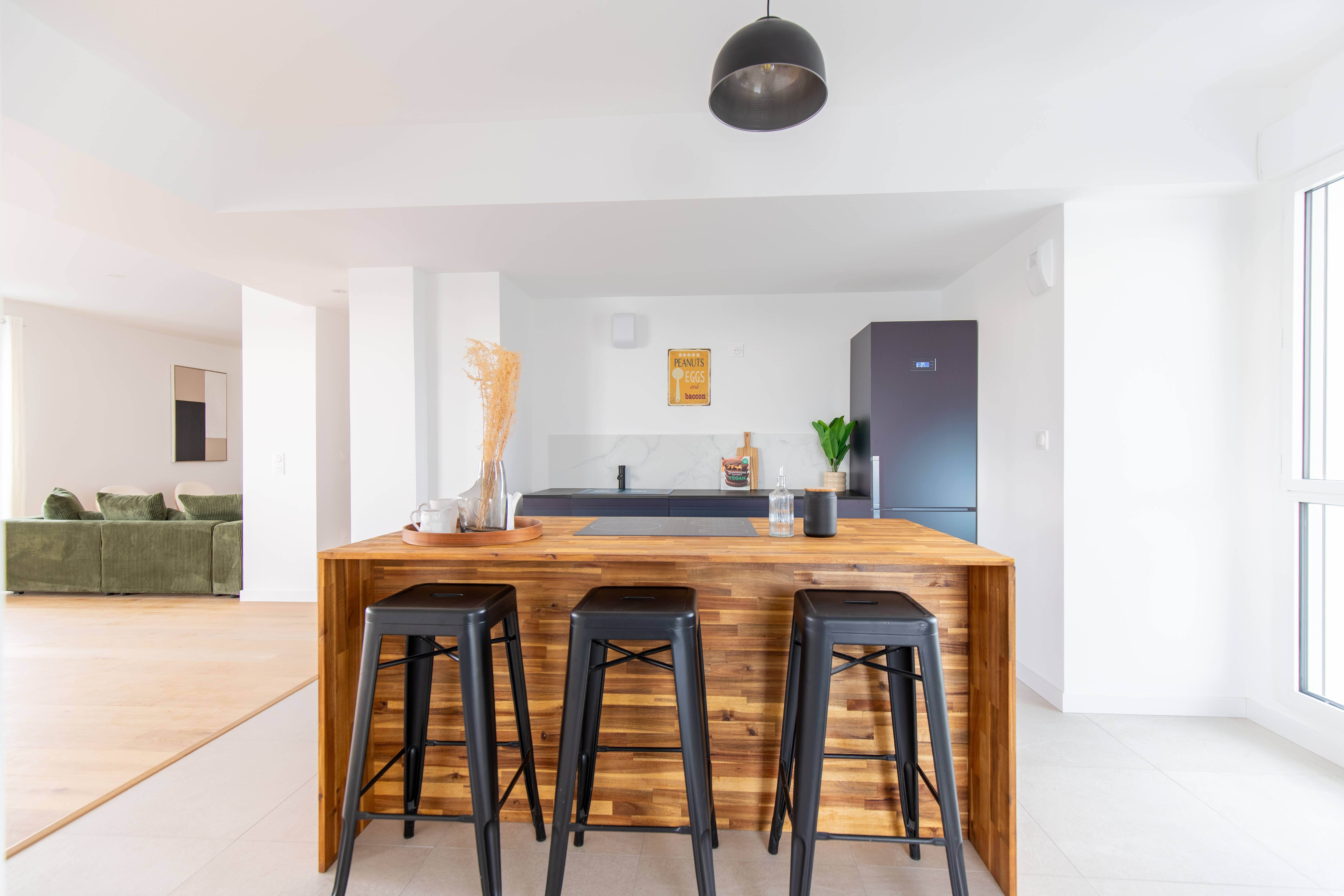 appartement cour monselet